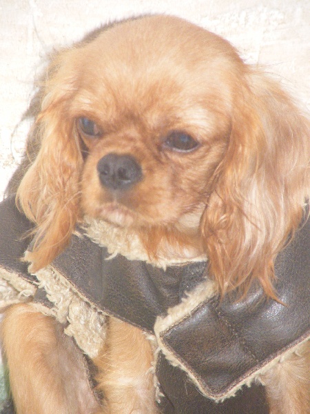 Hera Des Nobles Frimousses